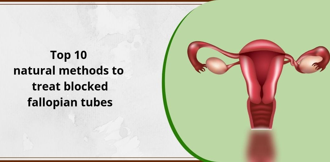 Top 10 Natural Methods To Treat Blocked Fallopian Tubes