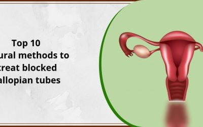 Top 10 Natural Methods To Treat Blocked Fallopian Tubes